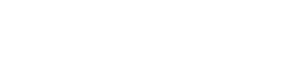 Socivio